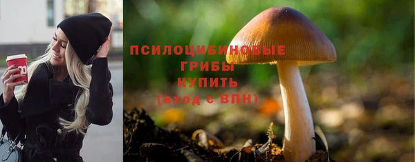 хмурый Алзамай