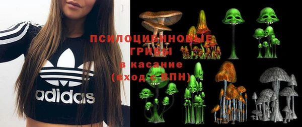 дурь Алексеевка